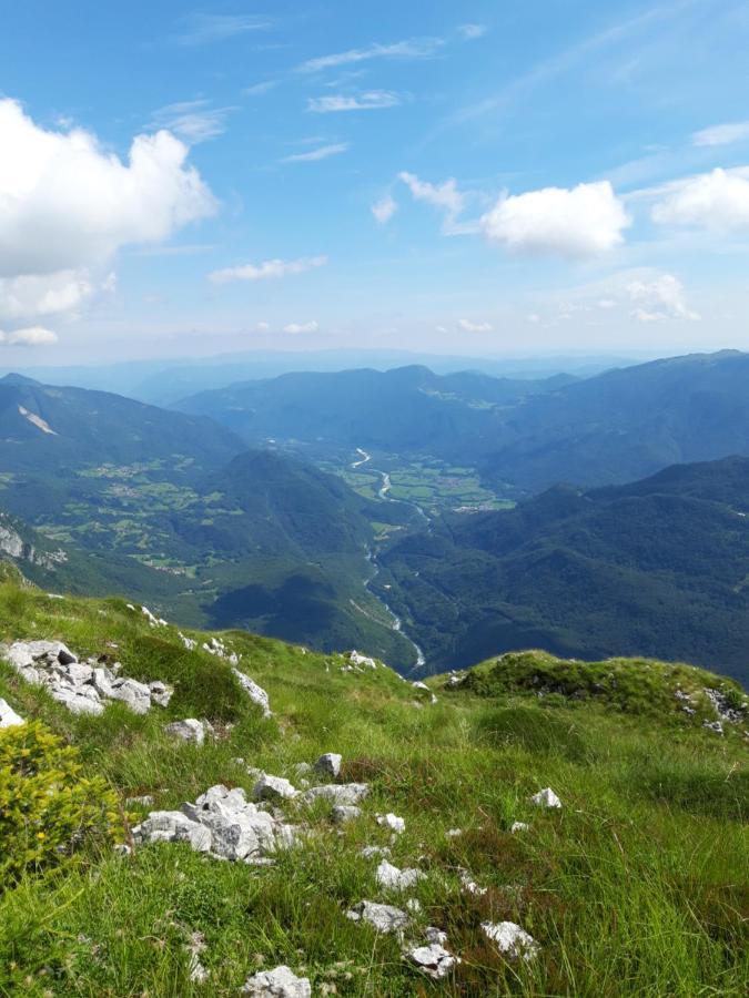 Apartma Melita Apartma *