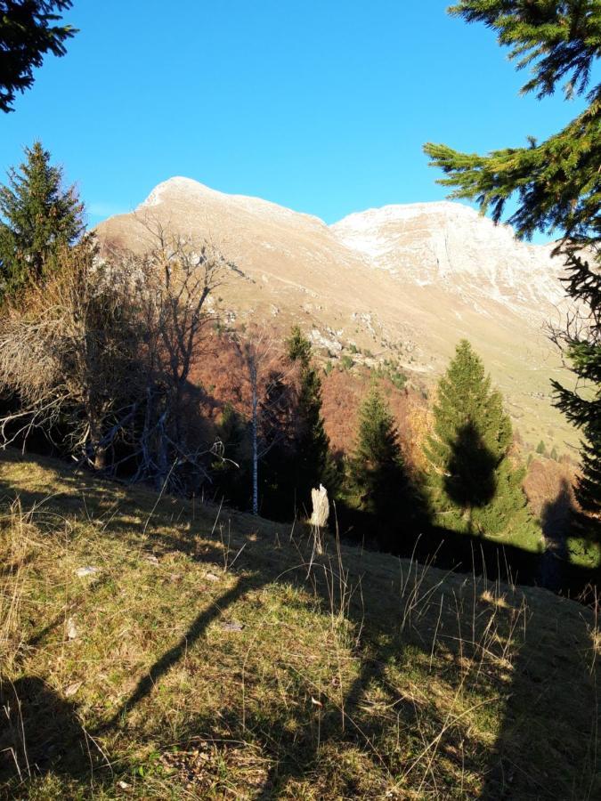 Apartma Melita * Kobarid